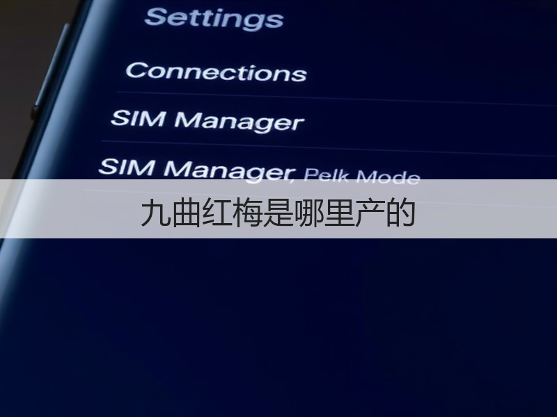 九曲红梅是哪里产的(图2)