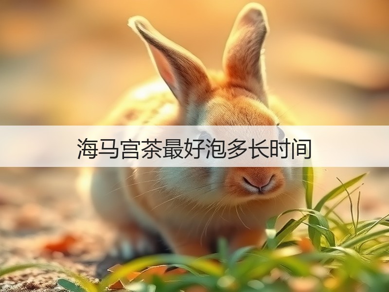 海马宫茶最好泡多长时间(图3) 海马宫茶最好泡多长时间(图3)