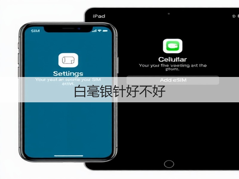 白毫银针好不好(图2) 白毫银针好不好(图2)