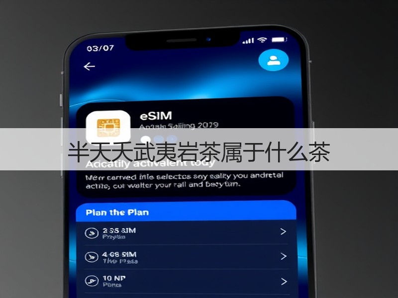 半天夭武夷岩茶属于什么茶(图3) 半天夭武夷岩茶属于什么茶(图3)