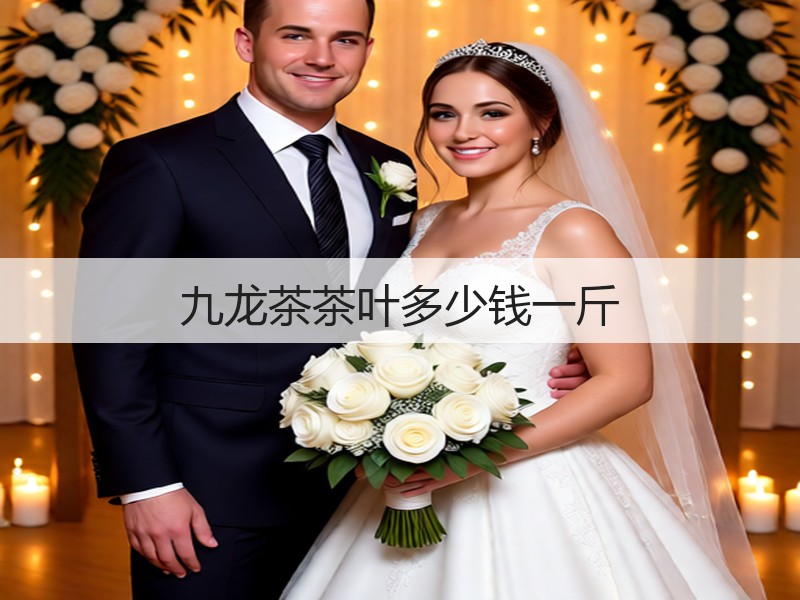 九龙茶茶叶多少钱一斤(图3) 九龙茶茶叶多少钱一斤(图3)