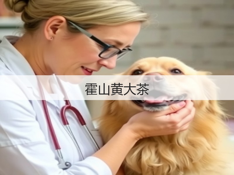 霍山黄大茶(图3)