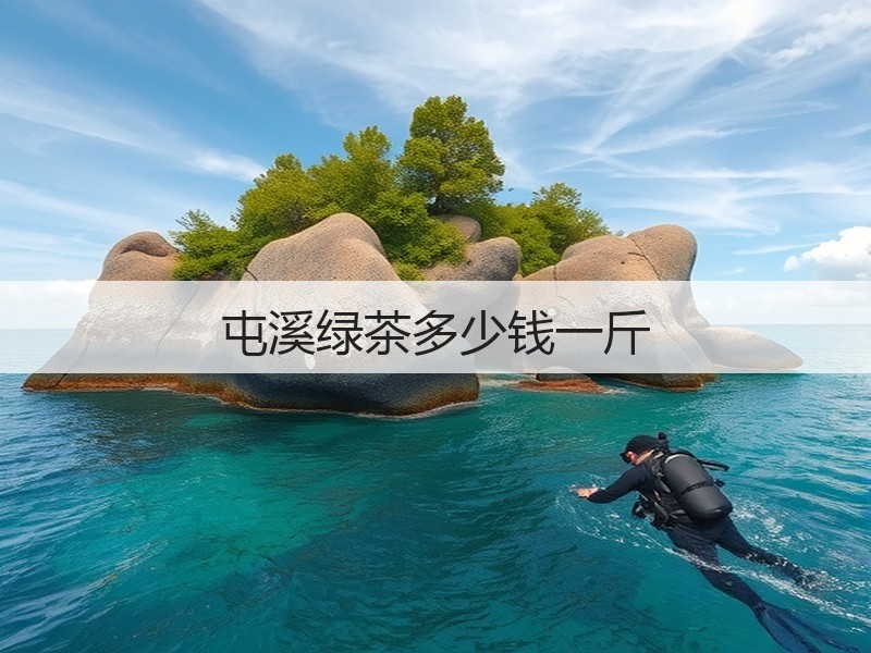 屯溪绿茶多少钱一斤(图2) 屯溪绿茶多少钱一斤(图2)