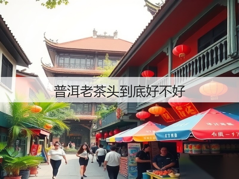 普洱老茶头到底好不好(图3)