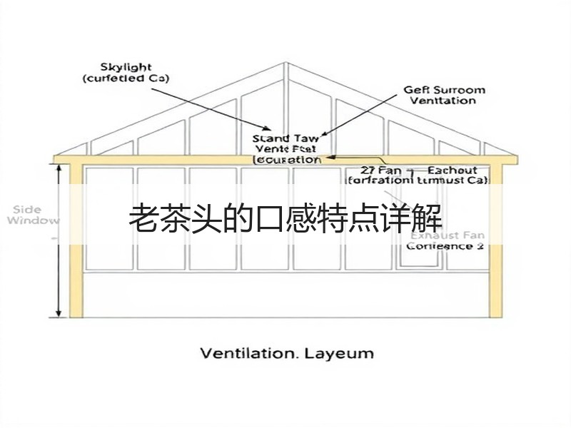 老茶头的口感特点详解(图2)