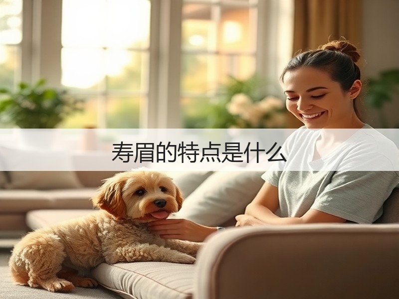 寿眉的特点是什么(图2) 寿眉的特点是什么(图2)