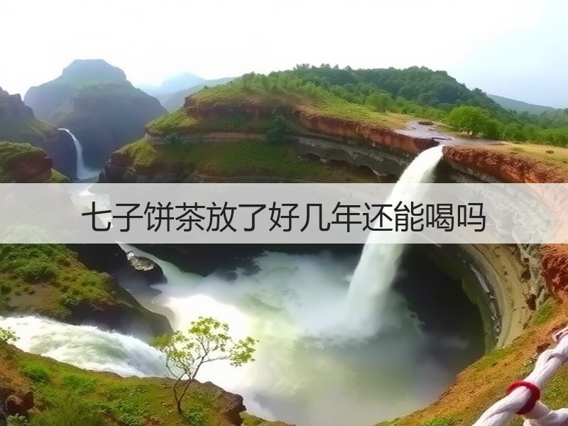 七子饼茶放了好几年还能喝吗(图2) 七子饼茶放了好几年还能喝吗(图2)