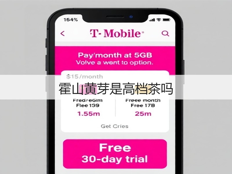 霍山黄芽是高档茶吗(图2)