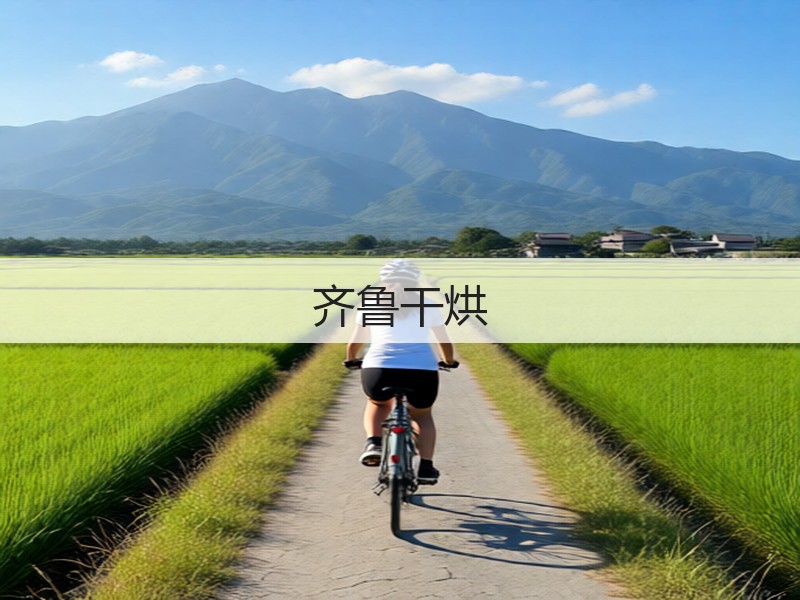 齐鲁干烘(图3) 齐鲁干烘(图3)