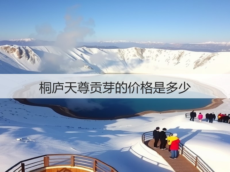 桐庐天尊贡芽的价格是多少(图3)