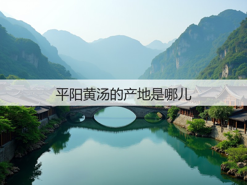 平阳黄汤的产地是哪儿(图2)