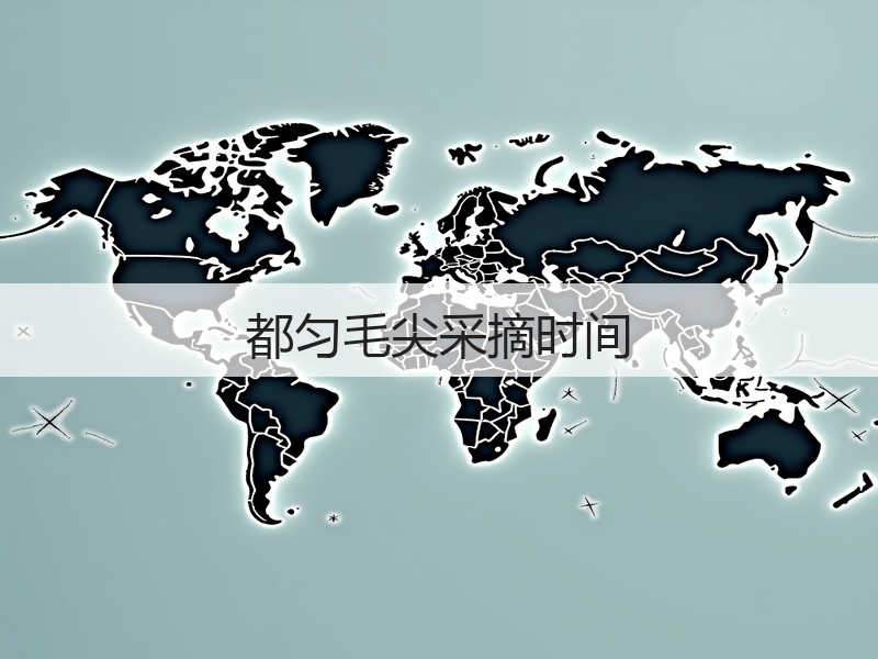 都匀毛尖采摘时间(图3)