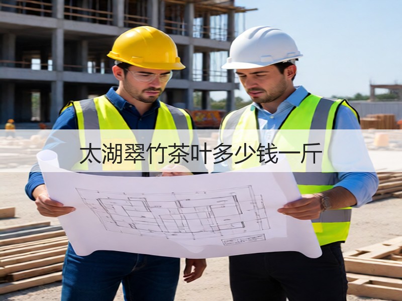 太湖翠竹茶叶多少钱一斤(图2)