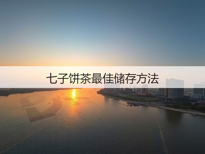 七子饼茶最佳储存方法(图3) 七子饼茶最佳储存方法(图3)
