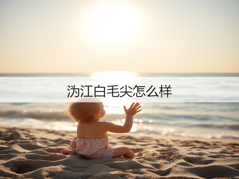 沩江白毛尖怎么样(图3) 沩江白毛尖怎么样(图3)