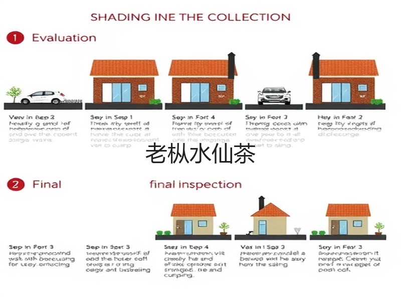 老枞水仙茶(图3)