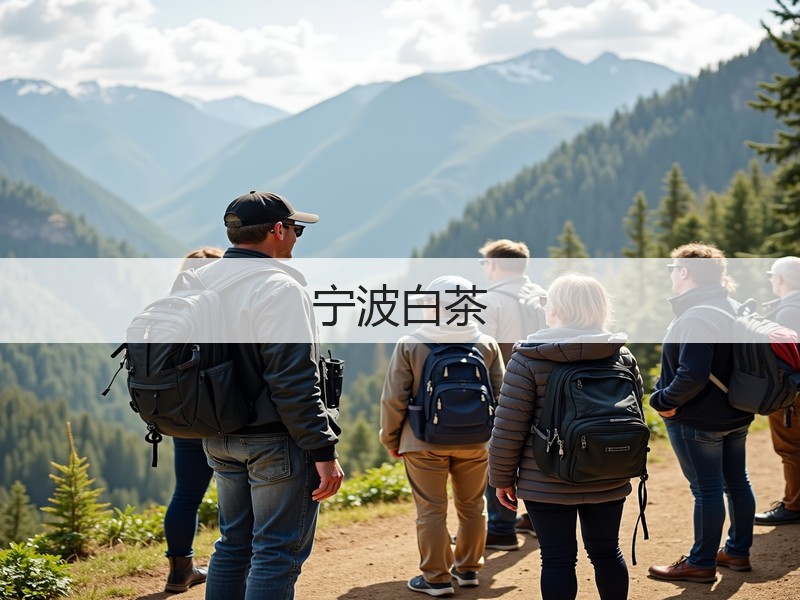 宁波白茶(图3) 宁波白茶(图3)