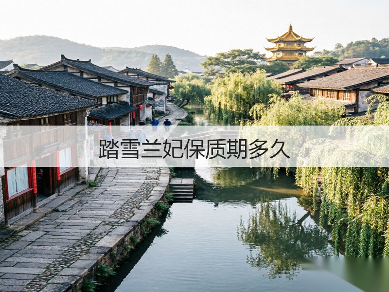 踏雪兰妃保质期多久(图3) 踏雪兰妃保质期多久(图3)