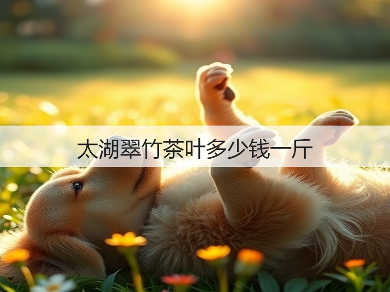 太湖翠竹茶叶多少钱一斤(图3)