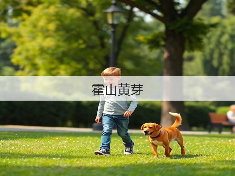 霍山黄芽(图3)