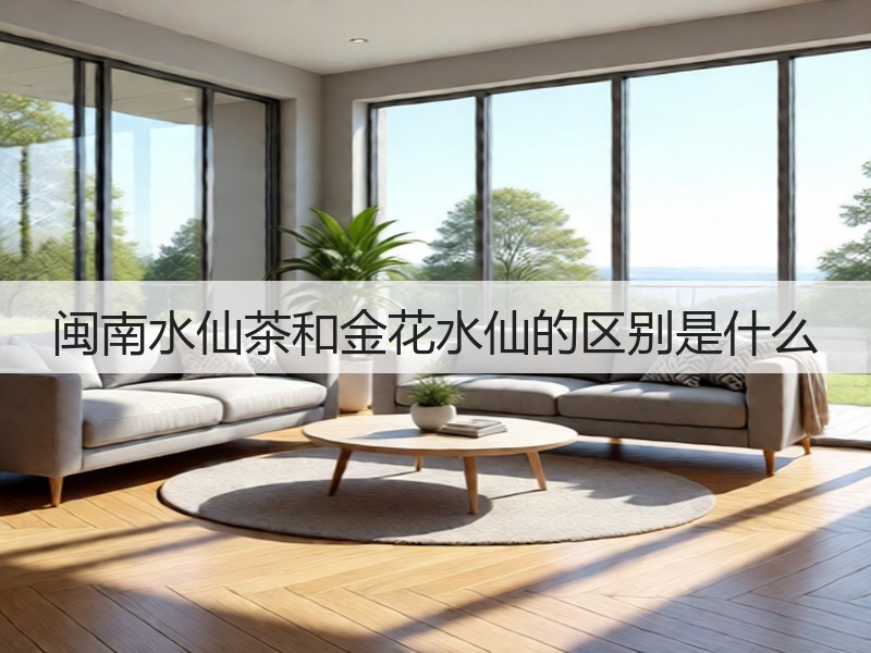 闽南水仙茶和金花水仙的区别是什么(图3) 闽南水仙茶和金花水仙的区别是什么(图3)