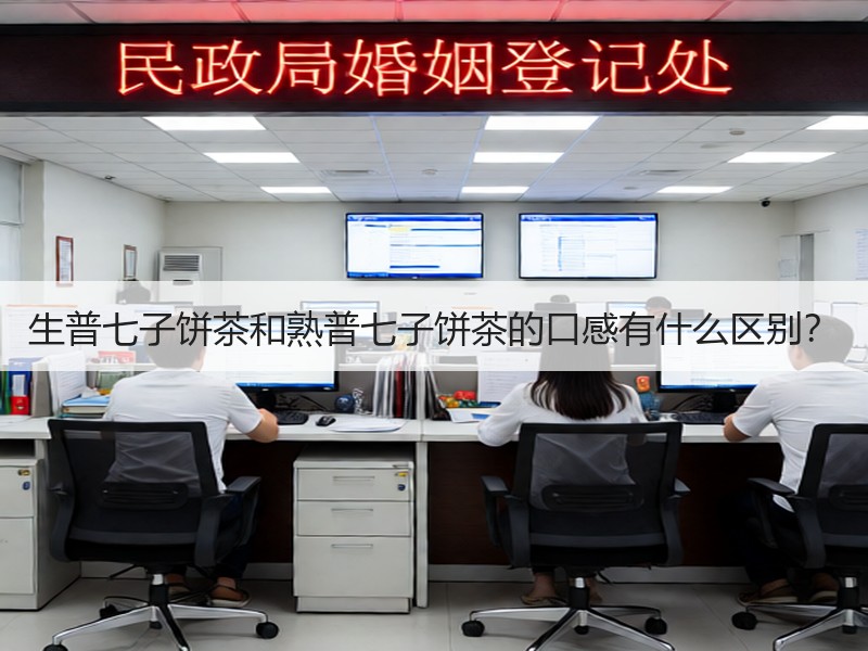 生普七子饼茶和熟普七子饼茶的口感有什么区