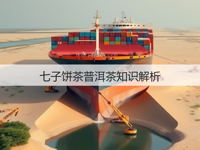 七子饼茶普洱茶知识解析(图3)