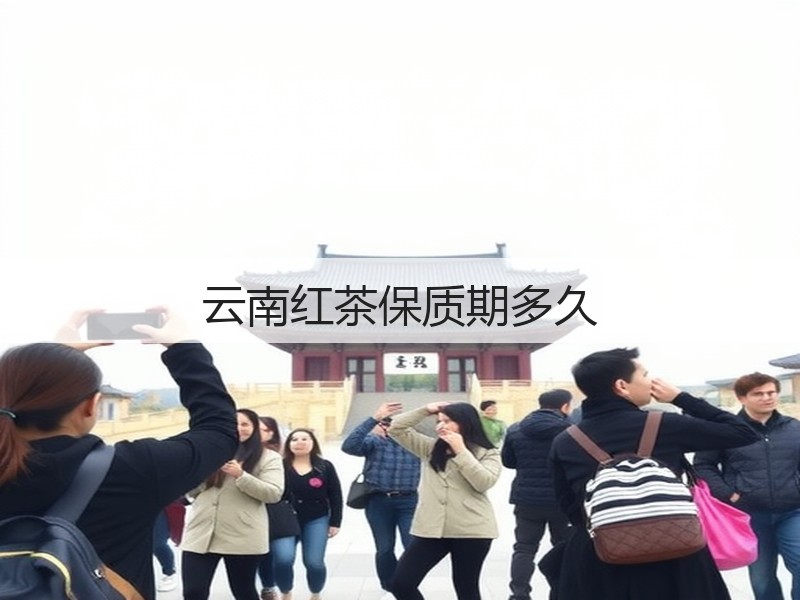 云南红茶保质期多久(图2) 云南红茶保质期多久(图2)