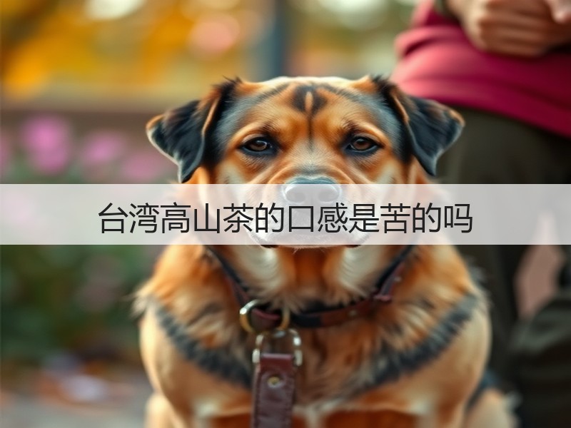 台湾高山茶的口感是苦的吗(图2)