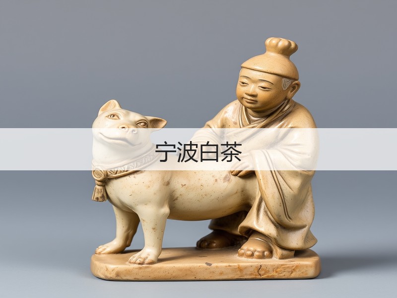 宁波白茶(图2) 宁波白茶(图2)