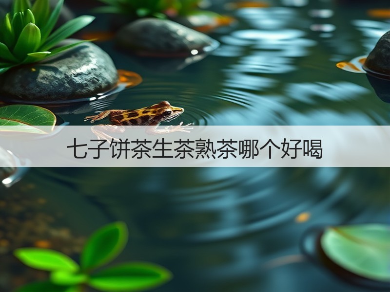 七子饼茶生茶熟茶哪个好喝(图3)