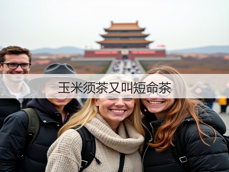玉米须茶又叫短命茶(图3) 玉米须茶又叫短命茶(图3)