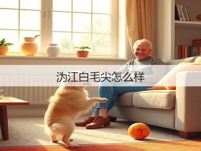 沩江白毛尖怎么样(图2) 沩江白毛尖怎么样(图2)