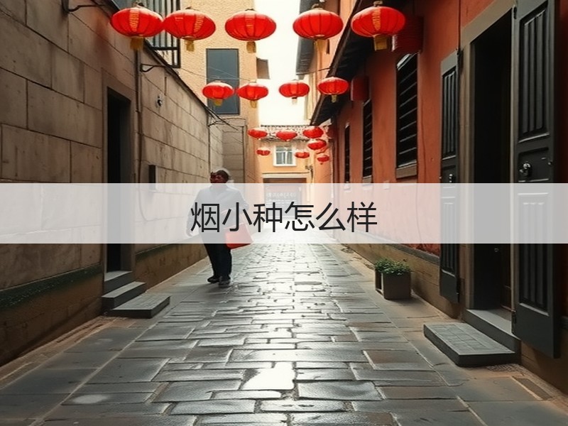 烟小种怎么样(图3)