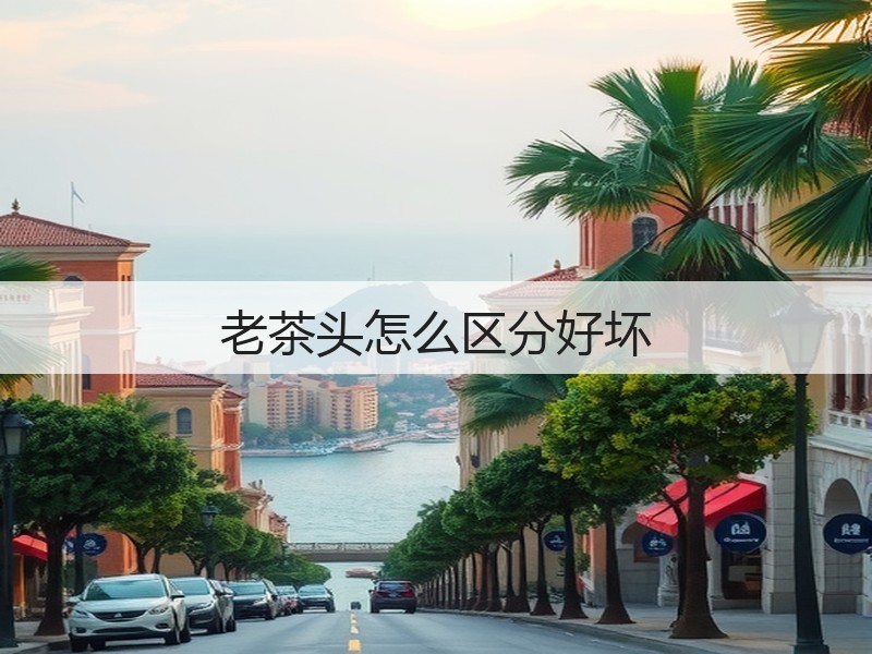 老茶头怎么区分好坏(图3) 老茶头怎么区分好坏(图3)