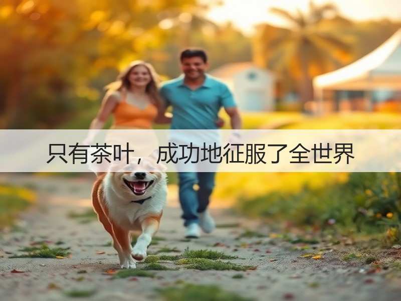 只有茶叶，成功地征服了全世界(图3)