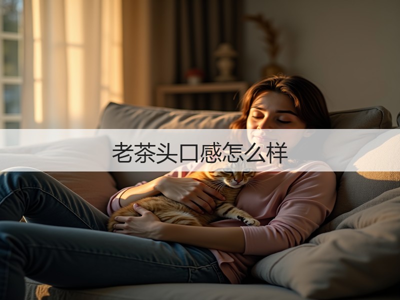 老茶头口感怎么样(图2) 老茶头口感怎么样(图2)