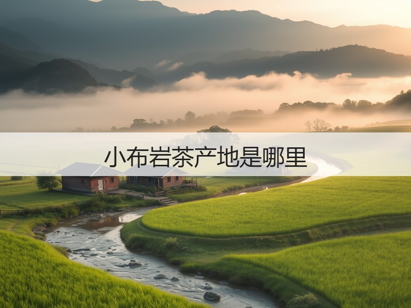 小布岩茶产地是哪里(图3) 小布岩茶产地是哪里(图3)