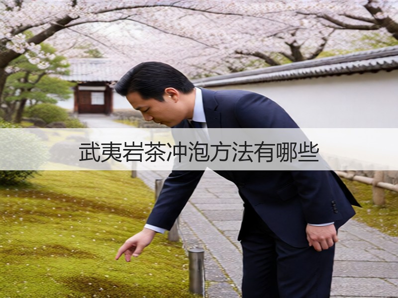 武夷岩茶冲泡方法有哪些(图3) 武夷岩茶冲泡方法有哪些(图3)