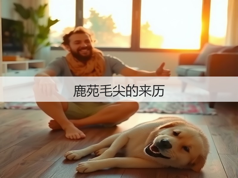 鹿苑毛尖的来历(图3)
