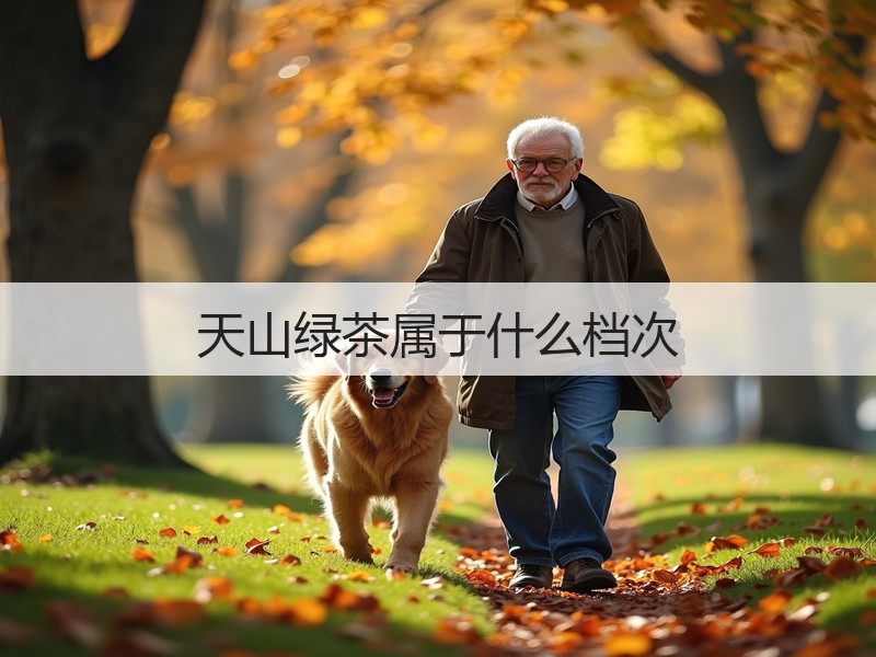 天山绿茶属于什么档次(图3)