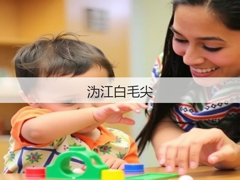 沩江白毛尖(图3) 沩江白毛尖(图3)