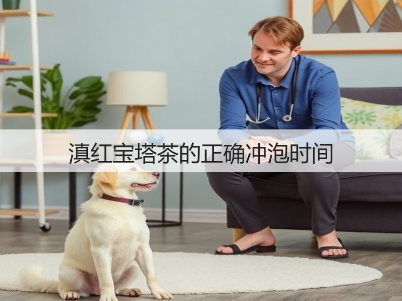 滇红宝塔茶的正确冲泡时间(图2)