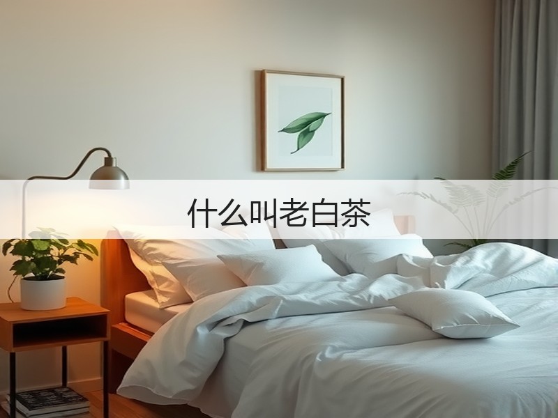 什么叫老白茶(图3) 什么叫老白茶(图3)