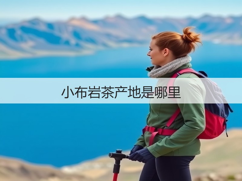 小布岩茶产地是哪里(图2) 小布岩茶产地是哪里(图2)
