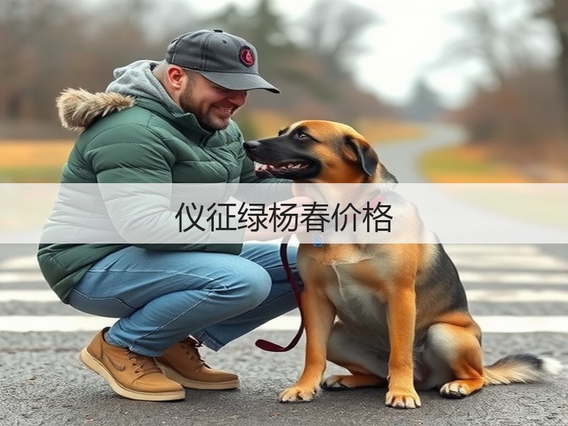 仪征绿杨春价格(图3)