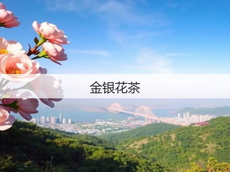 金银花茶(图2)