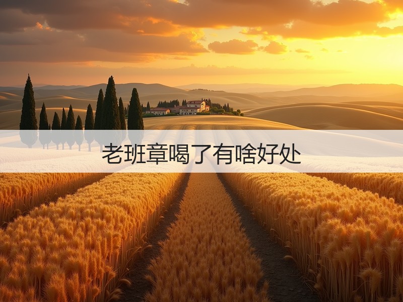 老班章喝了有啥好处(图2)