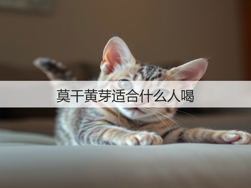 莫干黄芽适合什么人喝(图3)