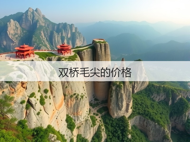 双桥毛尖的价格(图3)